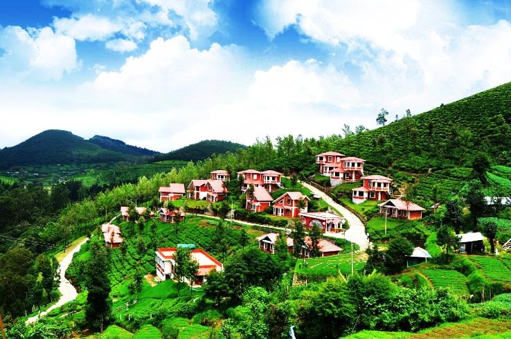 6. Mysore & Ooty Delight